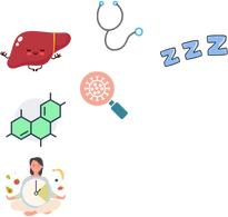 asset33